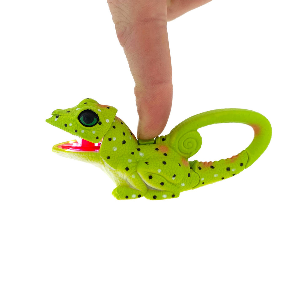 Sun Company / Big Discoveries - LifeLight Animal Carabiner