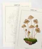 Coloready - Mushroom Botanical | Modern Paint By Numbers Kit