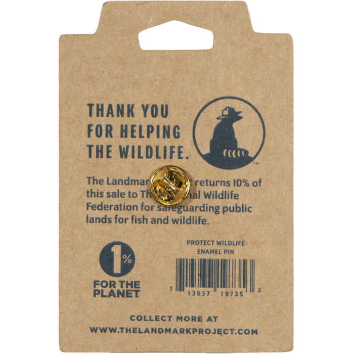 The Landmark Project - Ranger Rick Postage Stamp Pin – Cabin Fever ...