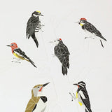 Green Bird Press - A Few Woodpeckers Letterpress Print - 12" x 18"