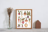 Fox & Fables - Art Print - Root Veggies: 8x10