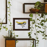 Coloready - Bird Study : Goldfinch  |  Modern Paint By Numbers Kit