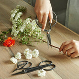 Kikkerland Design Inc - Scissor Set For Garden