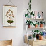 Coloready - Mushroom Botanical | Modern Paint By Numbers Kit