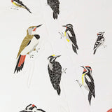 Green Bird Press - A Few Woodpeckers Letterpress Print - 12" x 18"