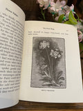 Applewood Books - Flower Fables