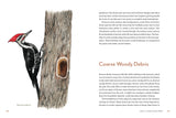 Mountaineers Books - Knowing the Trees: Discover the Forest from Seed to Snag