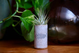 Mud & Maker - Tiny Tumblers - Bee: Mix Pack of Glazes