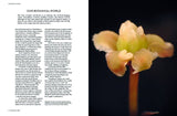 Abrams - Botanical Bible