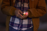 Big Discoveries / Sun Co. - WildLight Animal Carabiner Flashlight - Green T-Rex