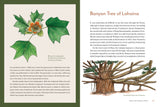 Mountaineers Books - Knowing the Trees: Discover the Forest from Seed to Snag