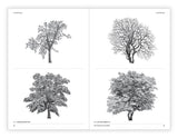 Chronicle Books - The Architecture of Trees
