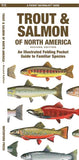 Simon & Schuster - Trout & Salmon of North America, 2nd Ed by Waterford Press: Pamphlets; 12 pages / English