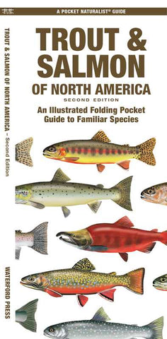 Simon & Schuster - Trout & Salmon of North America, 2nd Ed by Waterford Press: Pamphlets; 12 pages / English
