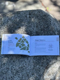 Mountaineers Books - Sticks, Stones & Pinecones
