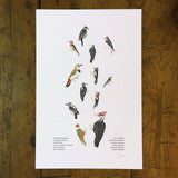 Green Bird Press - A Few Woodpeckers Letterpress Print - 12" x 18"