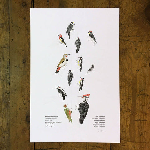 Green Bird Press - A Few Woodpeckers Letterpress Print - 12" x 18"