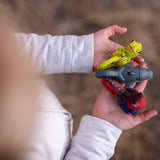 Big Discoveries / Sun Co. - LifeLight Animal Carabiner Flashlight - Dolphin
