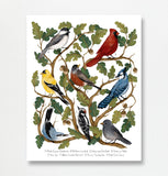 Fox & Fables - Art Print - Backyard Birds: 8x10