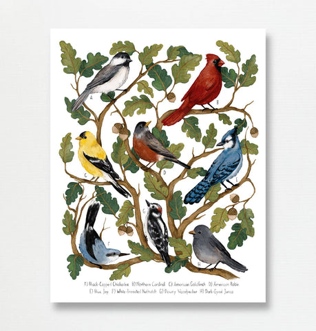 Fox & Fables - Art Print - Backyard Birds: 8x10