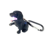 Big Discoveries / Sun Co. - WildLight Animal Carabiner Flashlight - Black Labrador Dog