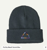 Patagonia Kids Logo Beanie