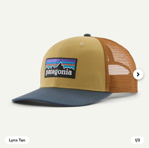 Patagonia P-6 Logo Trucker Hat
