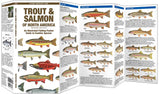 Simon & Schuster - Trout & Salmon of North America, 2nd Ed by Waterford Press: Pamphlets; 12 pages / English