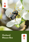 Mountaineers Books - Pollinators of North America Deck: 52 Playing Cards