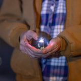 Sun Company / Big Discoveries - WildLight Animal Carabiner Flashlight - Black Bear