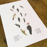 Green Bird Press - A Few Woodpeckers Letterpress Print - 12" x 18"