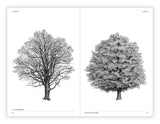 Chronicle Books - The Architecture of Trees