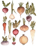 Fox & Fables - Art Print - Root Veggies: 8x10