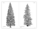 Chronicle Books - The Architecture of Trees