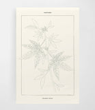 Coloready - Cannabis Botanical | Modern Paint By Numbers  Kit