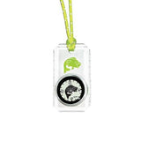 Big Discoveries / Sun Co. - Kid's WildLife Compass - Bass - Cabin Fever Outfitters