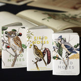 Field Notes - Birds and Trees of North America: Pack A: Screech Owl - Blue Jay - Brewer Sparrow - Cabin Fever Outfitters