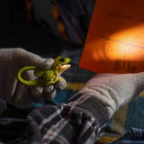 Sun Company / Big Discoveries - LifeLight Animal Carabiner Flashlight - Green Lizard