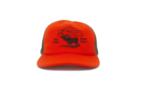 The Ampal Creative - WILD PLACES - Trucker - Orange