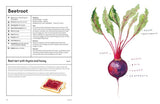 W. W. Norton - The Kitchen Garden: Sowing, Growing and Cooking: Hardcover
