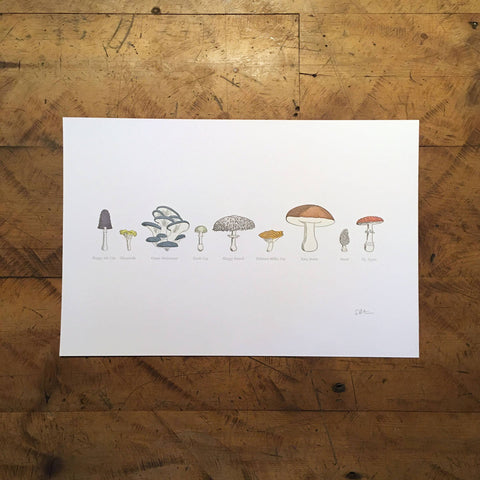 Green Bird Press - 12" x 18" A Few Mushrooms Letterpress Print