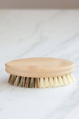Earth & Daughter - CASA AGAVE® DUO TONE VEGETABLE BRUSH | GENERAL CLEANING