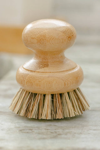 Earth & Daughter - CASA AGAVE® Pot Scrubber Brush