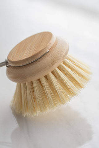 Earth & Daughter - CASA AGAVE® replacement head only - NEW