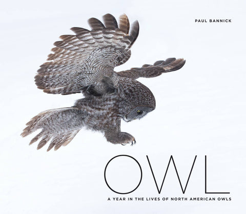 Mountaineers Books - Owl: A Year in the Lives of North American Owls