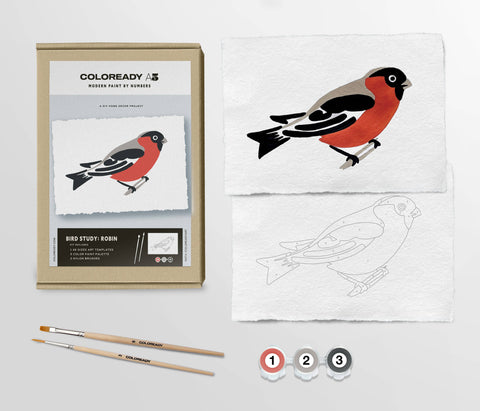 Coloready - Bird Study : Robin  |  Modern Paint By Numbers Kit