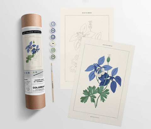 Coloready - Blue Columbine Botanical | Modern Paint By Numbers Kit