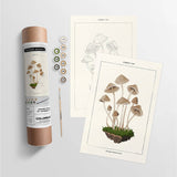 Coloready - Mushroom Botanical | Modern Paint By Numbers Kit