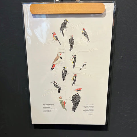 Green Bird Press - 12" x 18" A Few Woodpeckers Letterpress Print